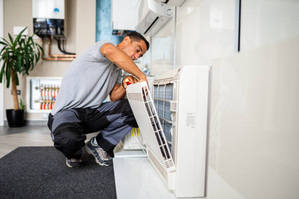 Air Duct Mold Removal in Fairview, NC