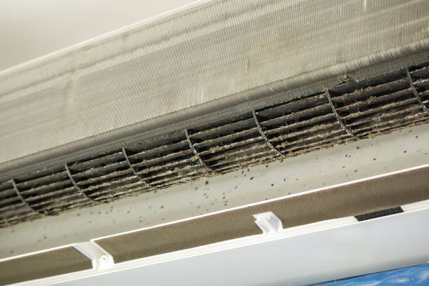 Best Air Duct Mold Removal  in Fairview, NC